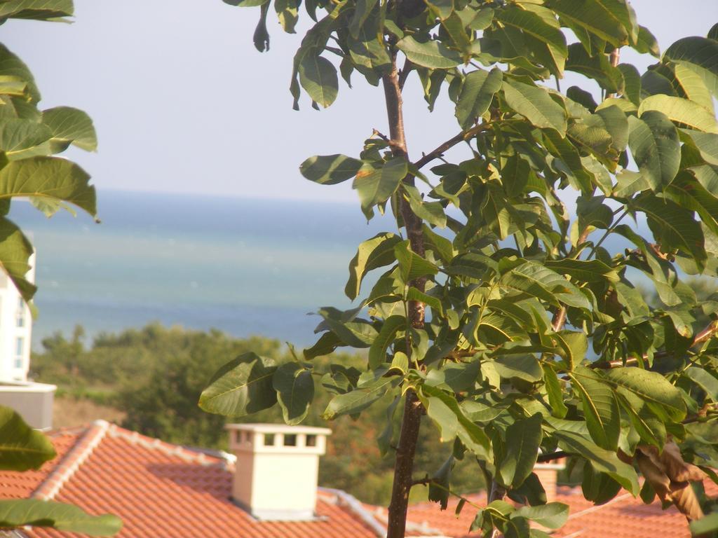 Guest House "Zora - Sarafovo" Burgas City Eksteriør billede